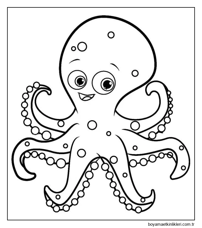 Çizmek Ahtapot 3