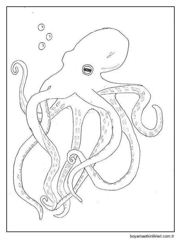 Çizmek Ahtapot basit