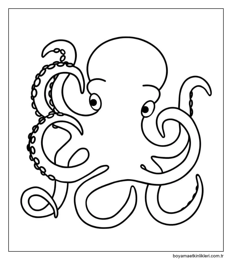 Çizmek Ahtapot temel