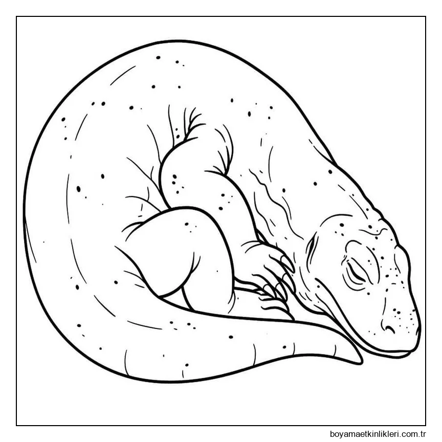 Görüntü Komodo Ejderi Basit
