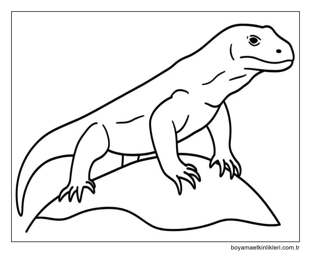 Görüntü Komodo Ejderi yazdırılabilir