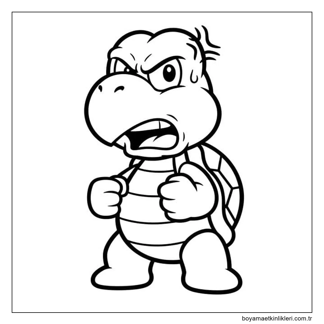 Görüntü Koopa Troopa