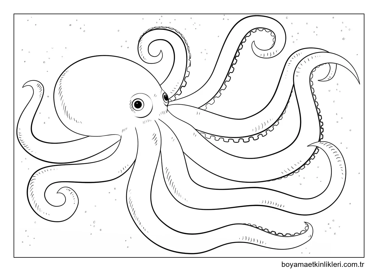 Güzel Ahtapot