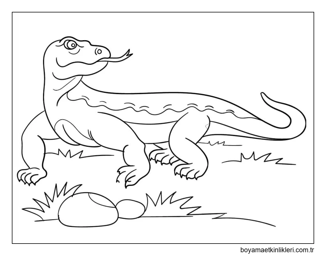 Kolay Komodo Ejderi resim
