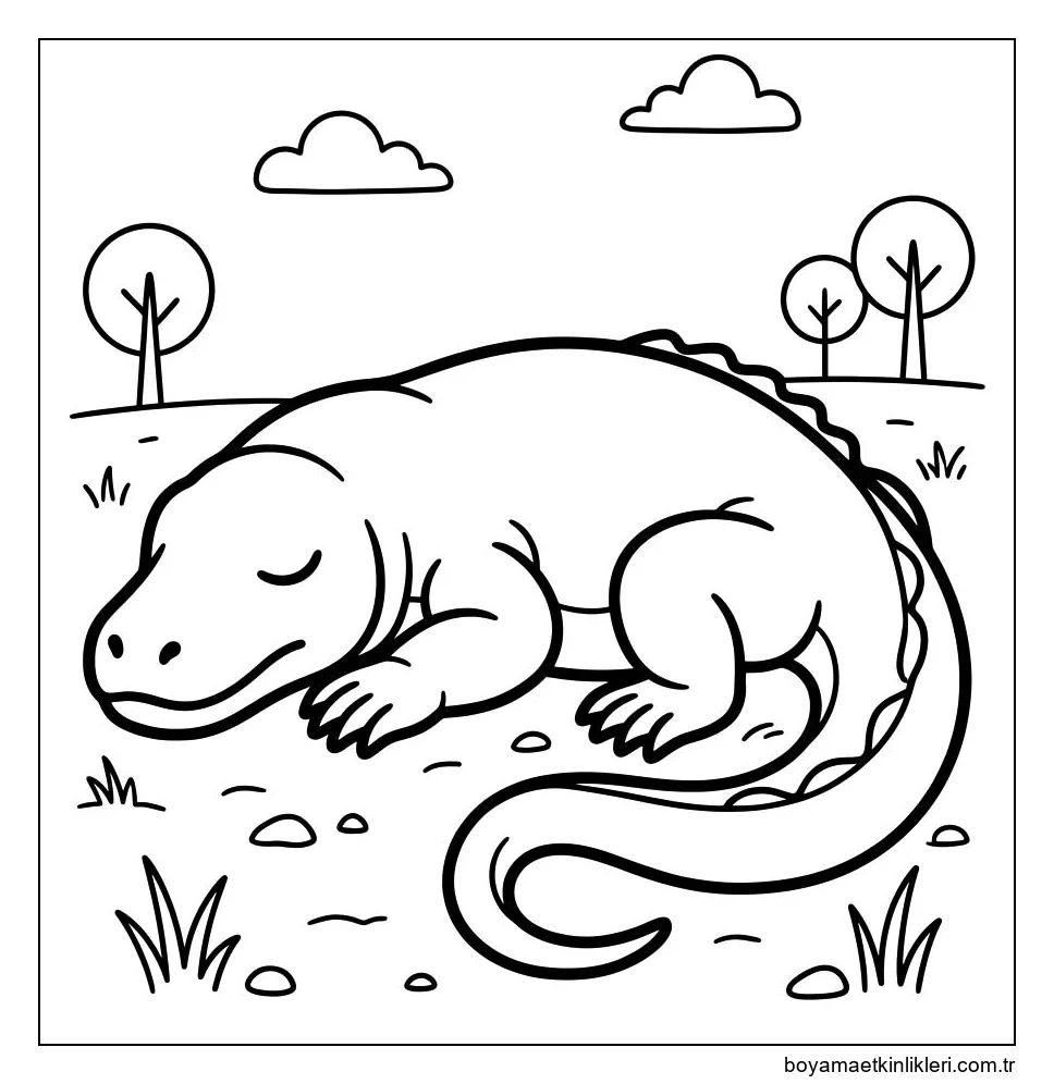Komodo Ejderi Basit