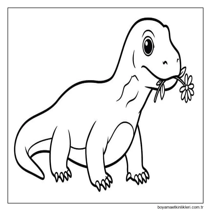 Komodo Ejderi Görüntü