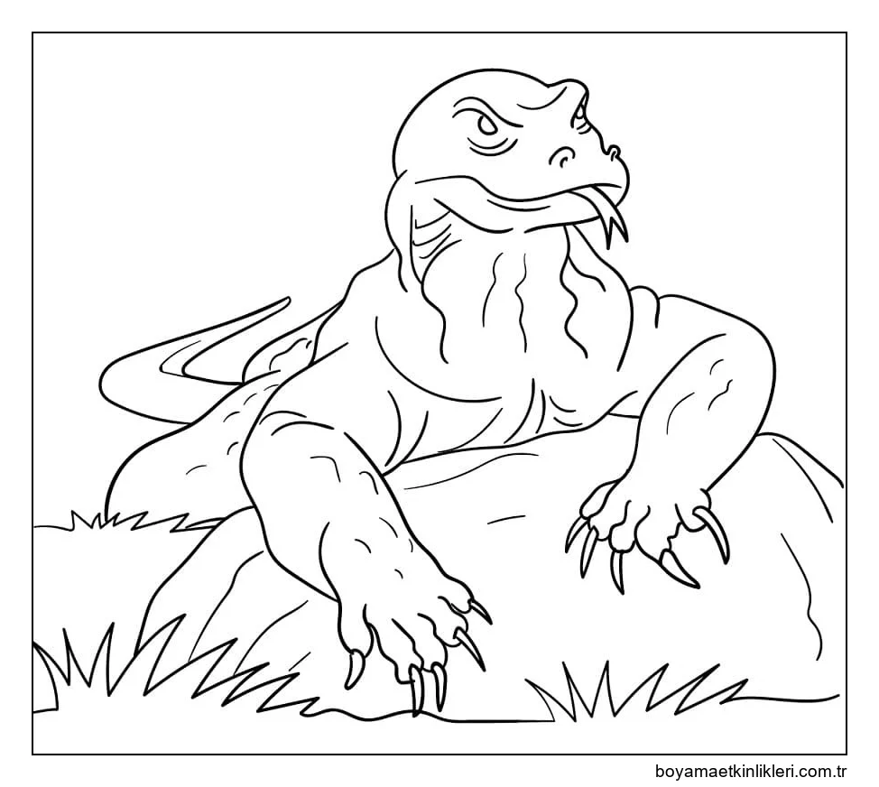 Komodo Ejderi Ücretsiz Çiz