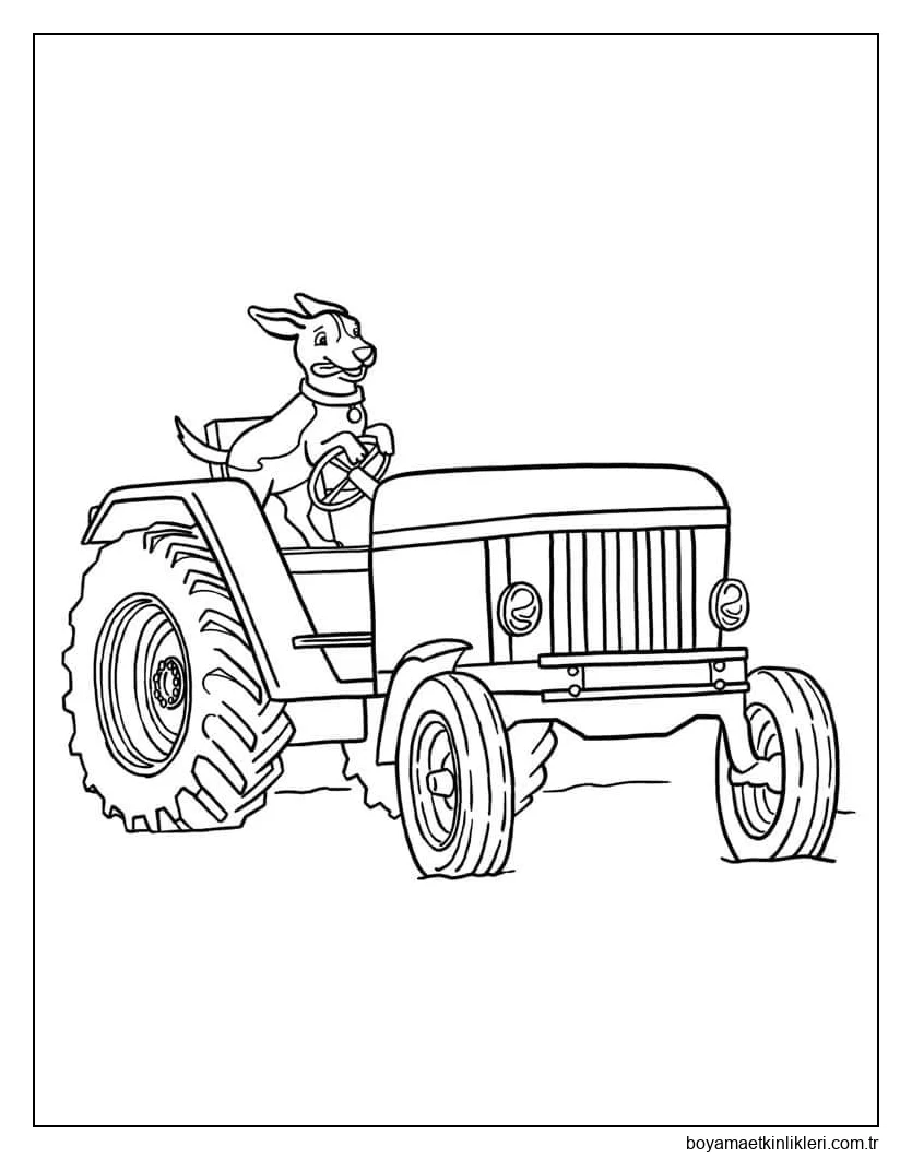 Köpek Sürüş Traktörü