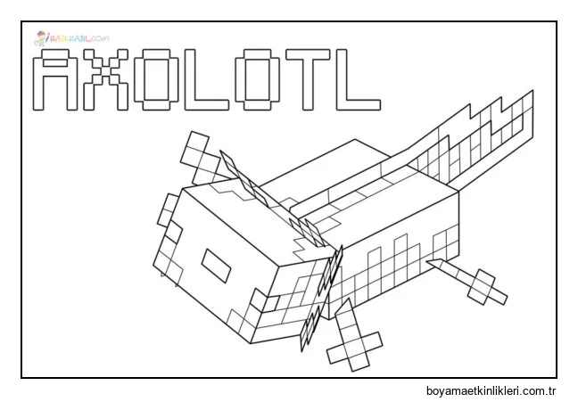 Minecraft Axolotl