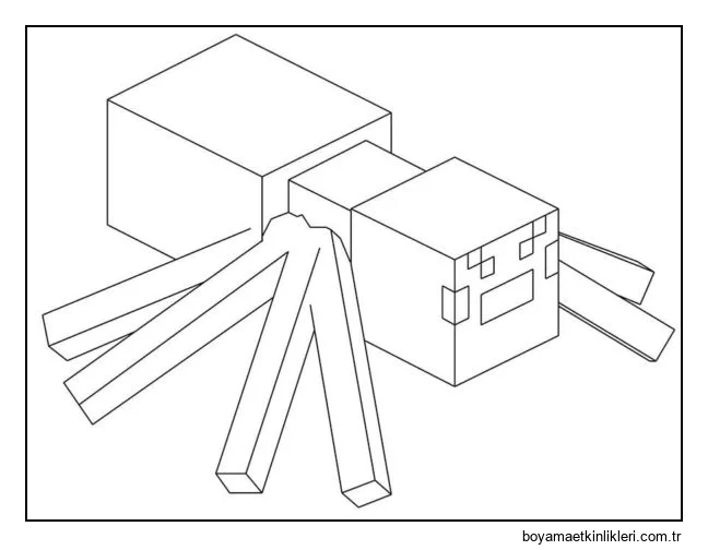 Sağlığınız yerindeyse hiç de korkutucu bir örümcek değildir.