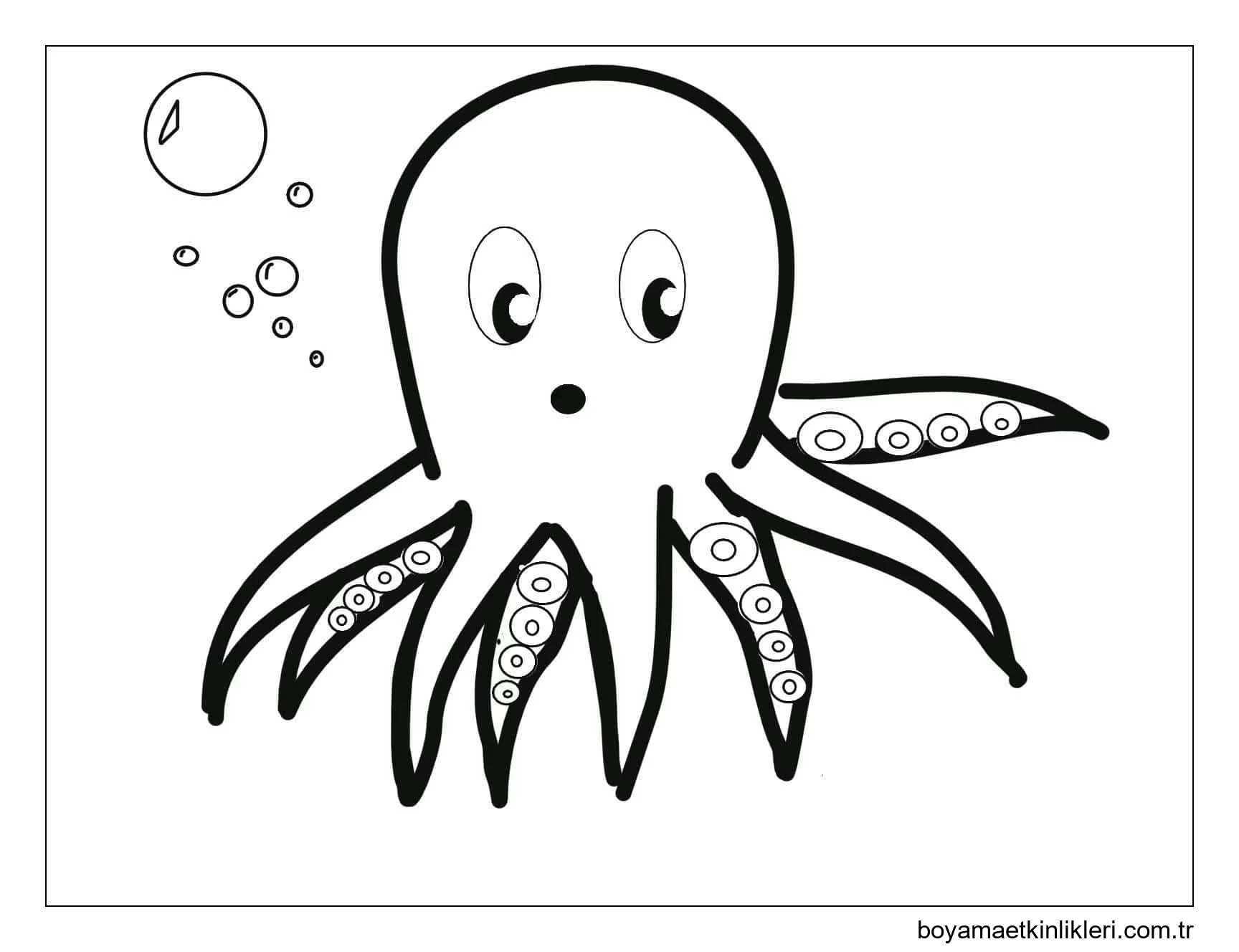 Sevimli Ahtapot Yüzme