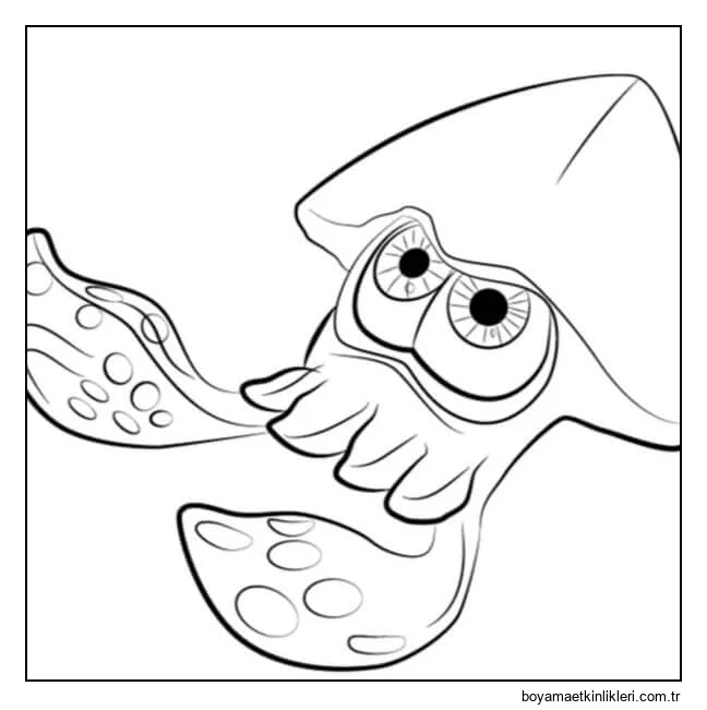 Sevimli Ve Büyük Gözlü Kalamar