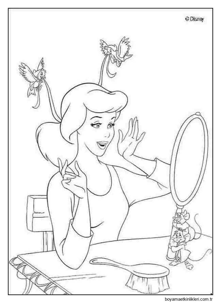 Sindirella Aynaya Bakar