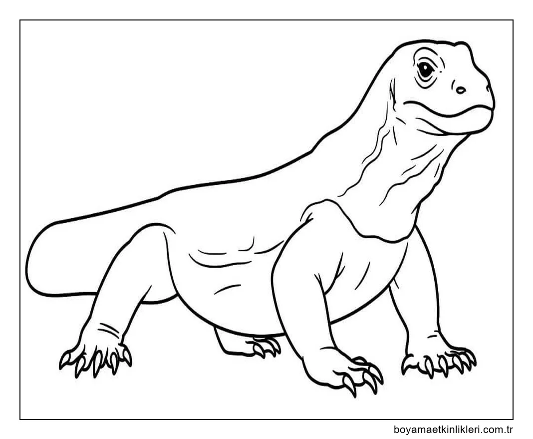 Ücretsiz Komodo Ejderi resim